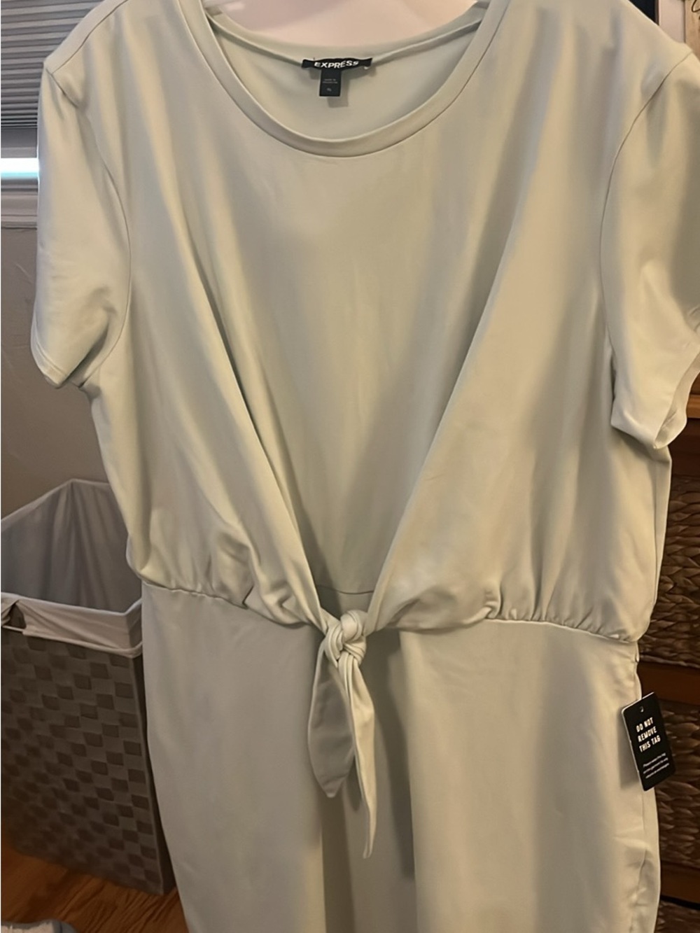 Express Light Green Tie-Front Mini Dress